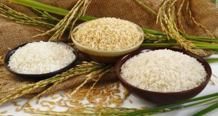 Sản phẩm gạo Việt Nam sẽ được đăng ký nhãn hiệu tại nước ngoài