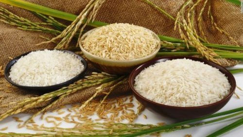 Sản phẩm gạo Việt Nam sẽ được đăng ký nhãn hiệu tại nước ngoài